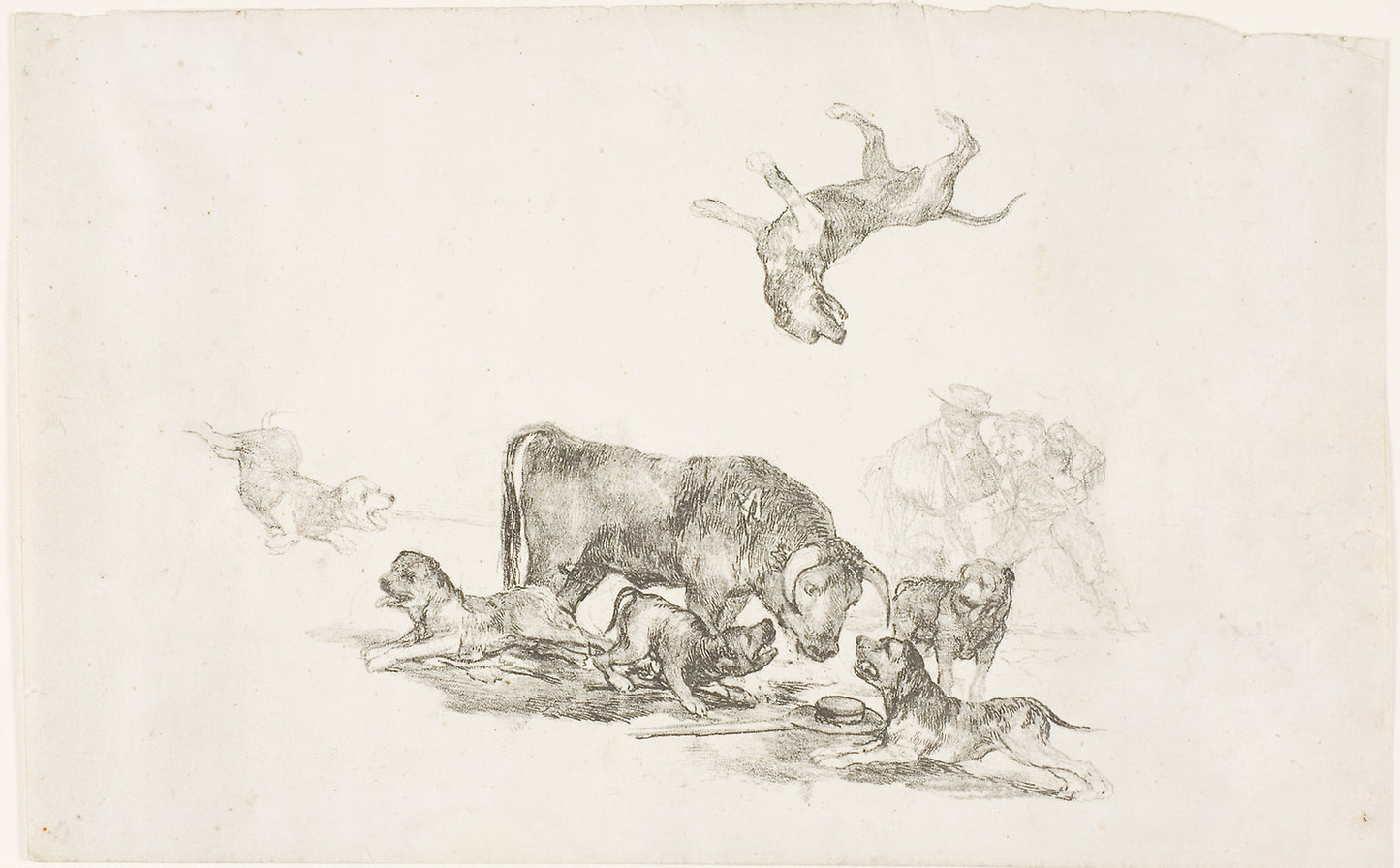 Bull Attacked - Dogs - Francisco José de Goya y Lucientes, Poster Print Wall Art