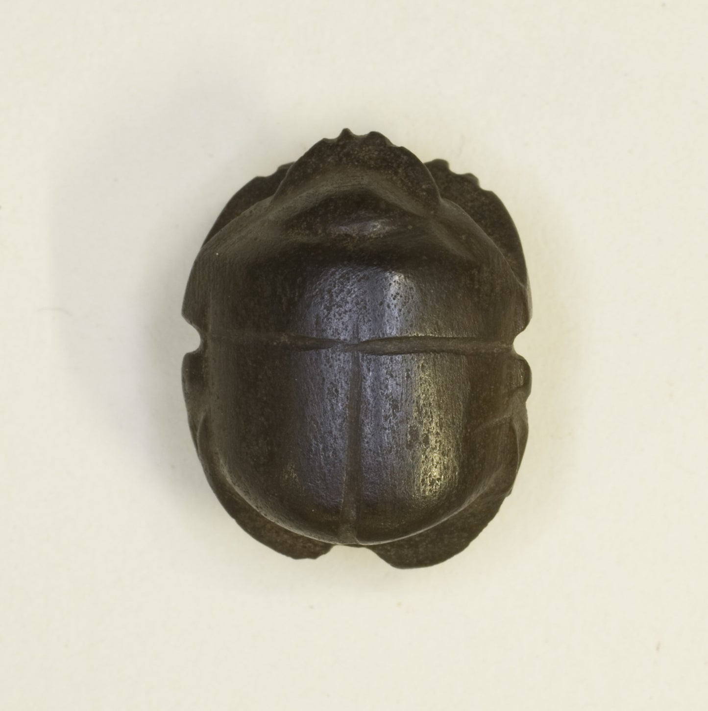 Scarab Amulet - Egyptian, Poster Print Wall Art