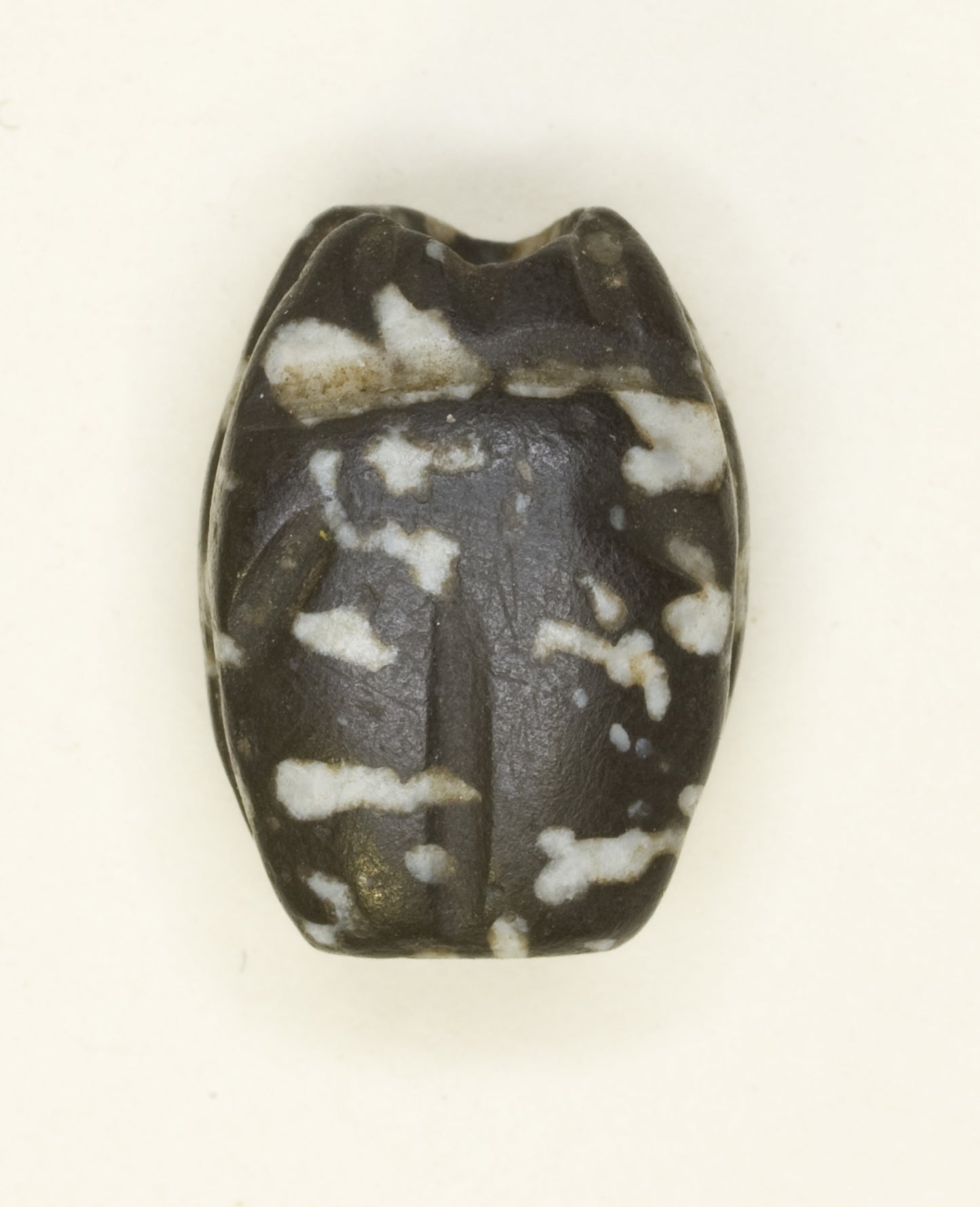 Scarab: Uninscribed: Egyptian, Poster Print Wall Art