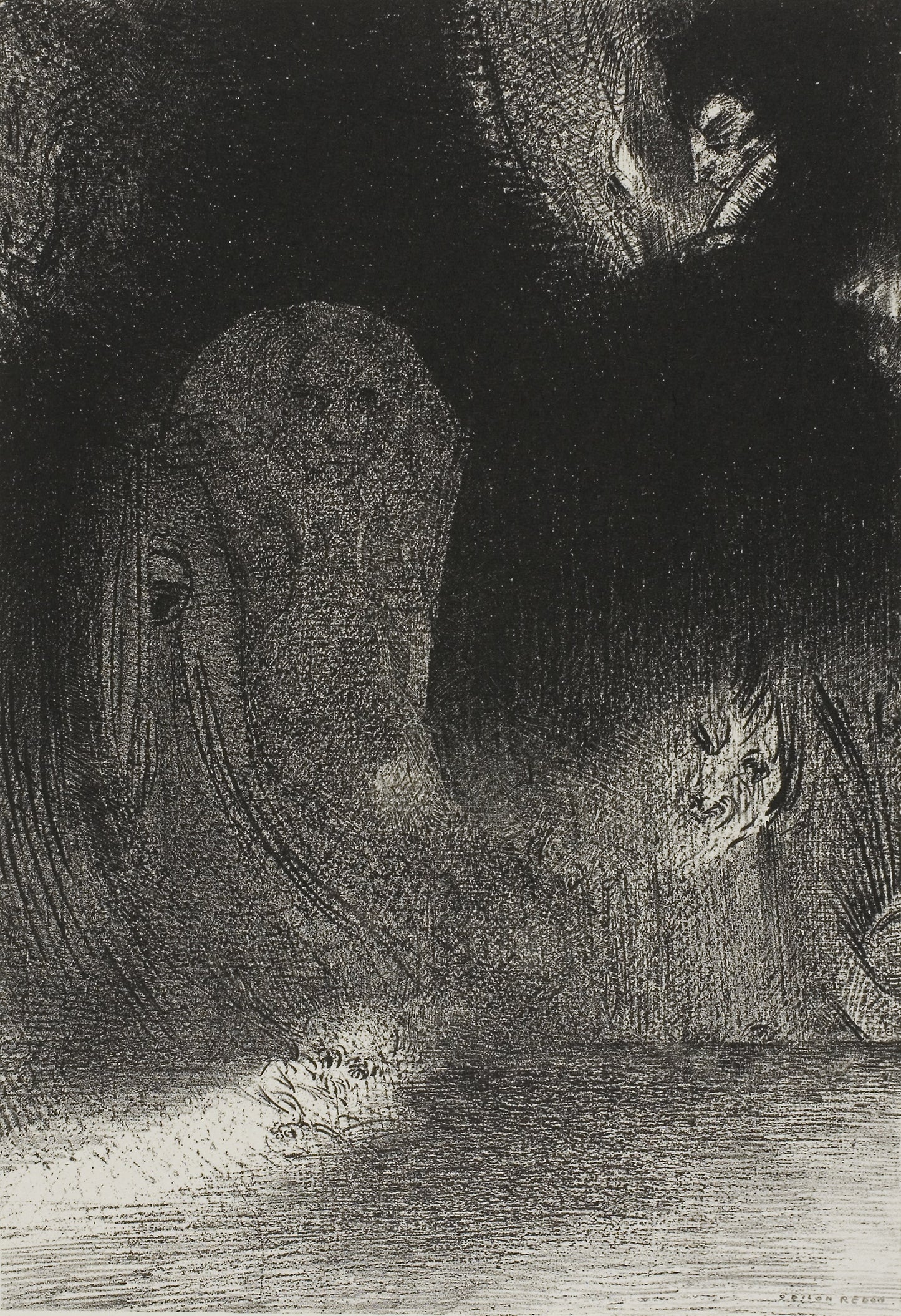 I Have Sometimes Seen in the Sky What Seemed to Be Like Forms of Spirits, plate 21 of 24 - Odilon Redon, Poster Print Wall Art