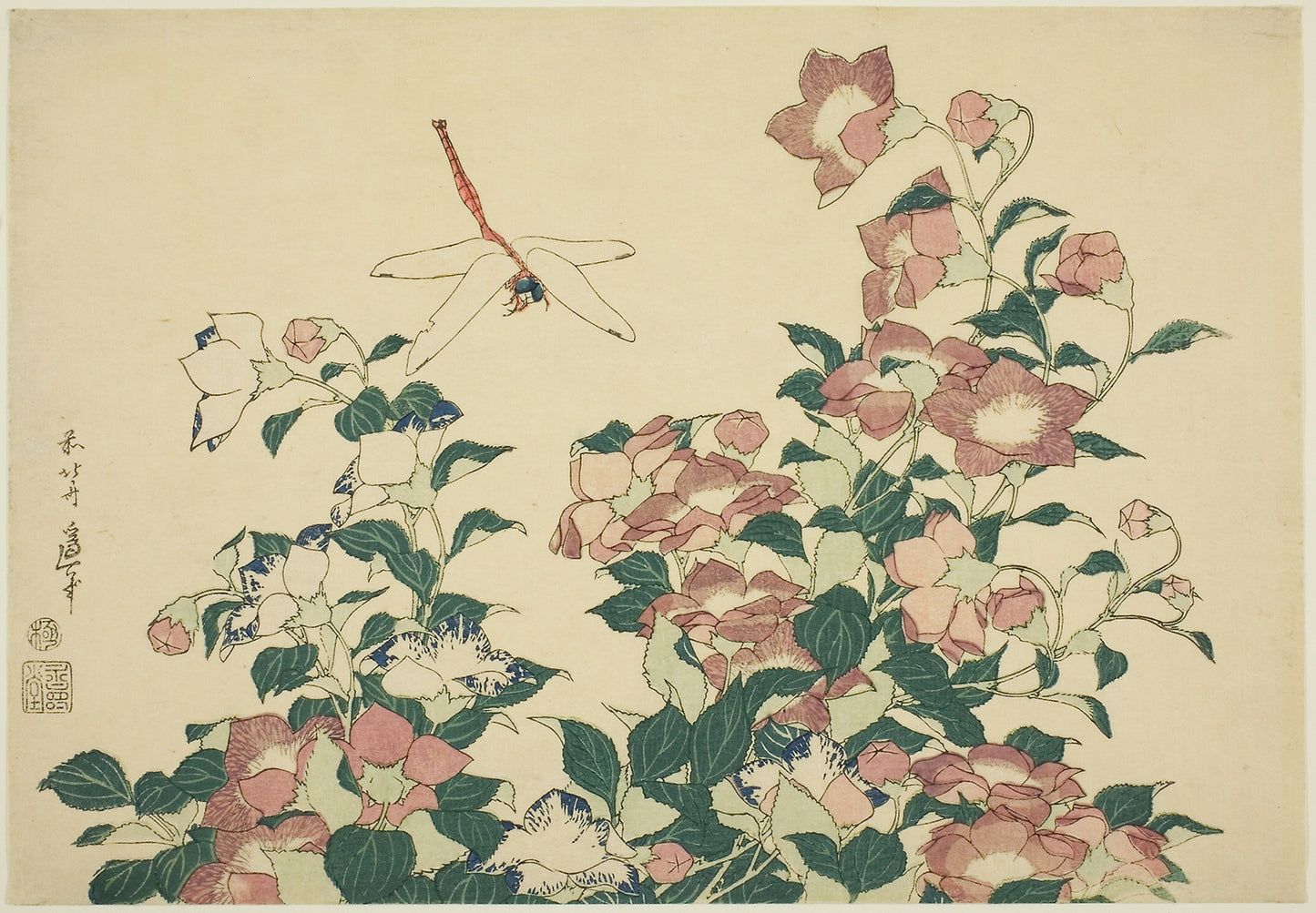 Bell-Flower and Dragonfly, from an untitled series of large flowers - Katsushika Hokusai ?? ??, Poster Print Wall Art
