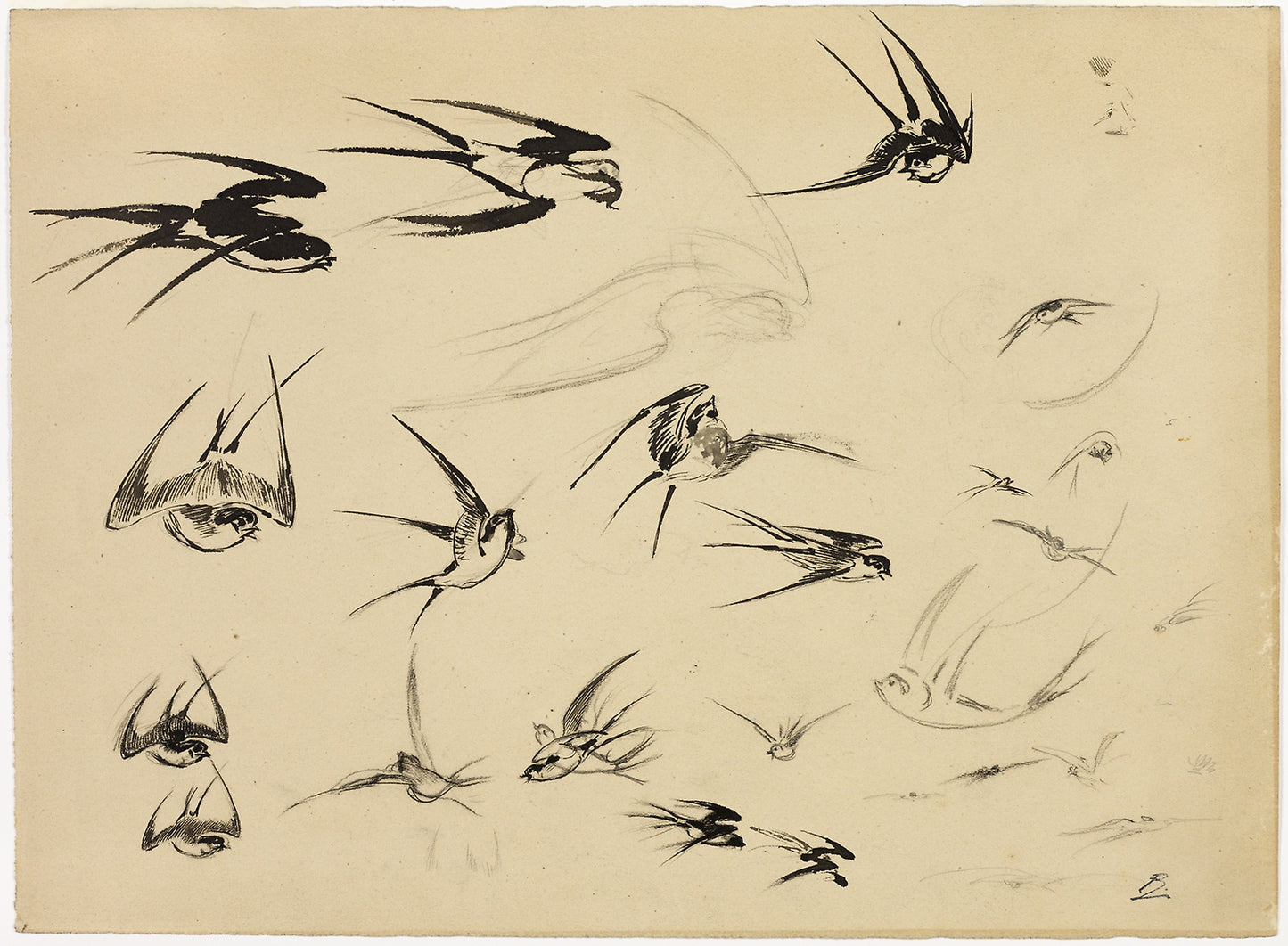 The Swallows - Félix Henri Bracquemond, Poster Print Wall Art