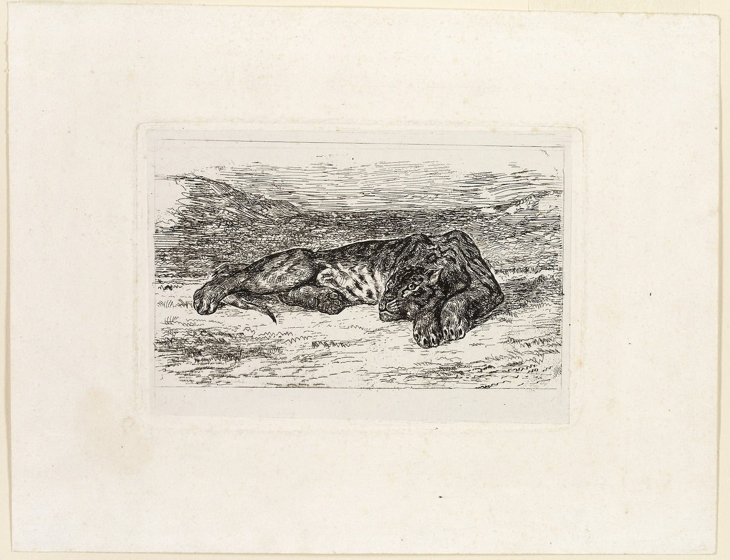 Tiger Resting in the Desert - Eugène Delacroix, Poster Print Wall Art