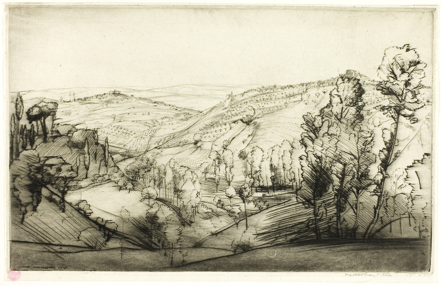 Fields of San Gimignano - Donald Shaw MacLaughlan, Poster Print Wall Art