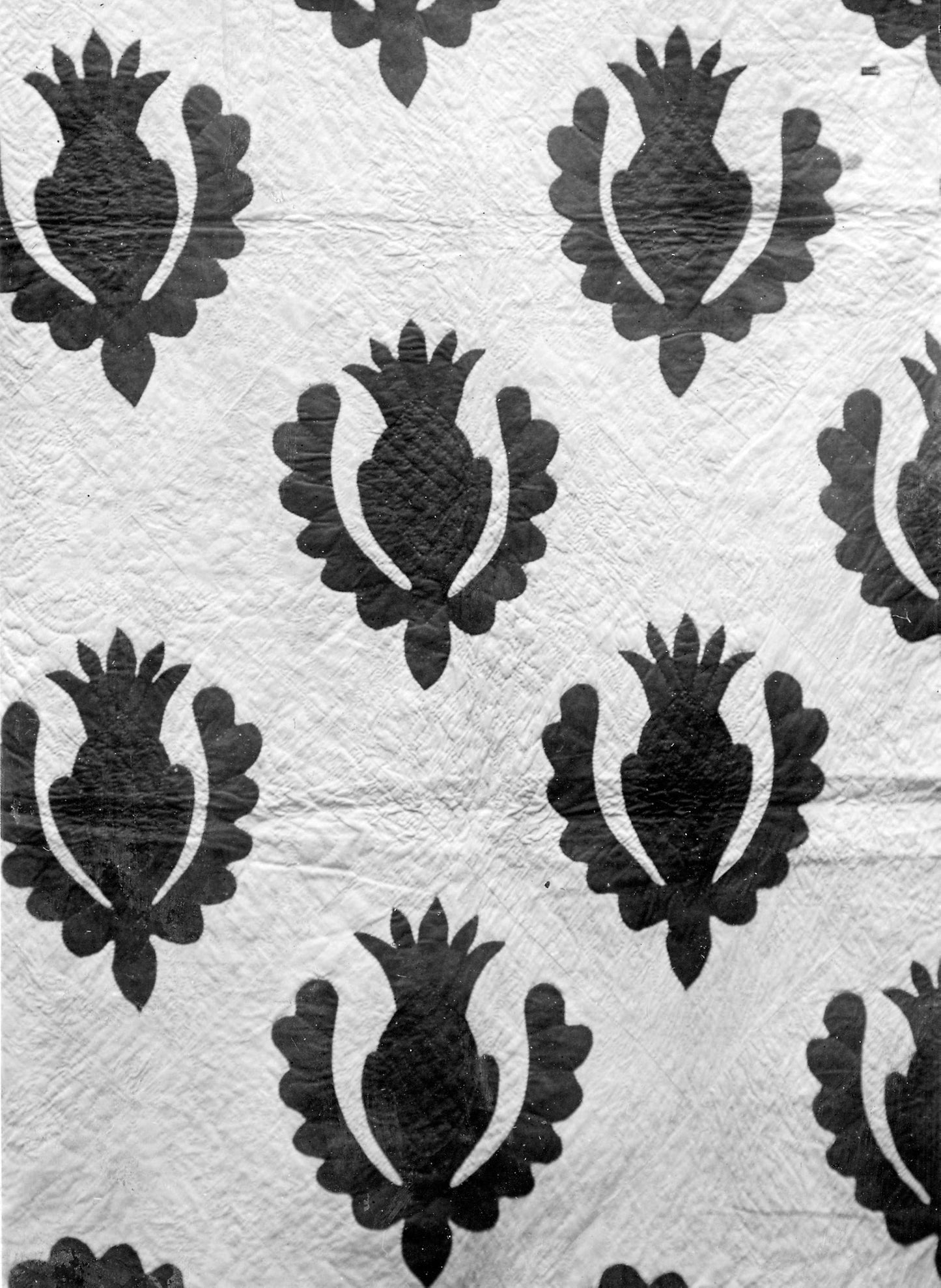 Bedcover (Pineapple Quilt) - United States, Poster Print Wall Art