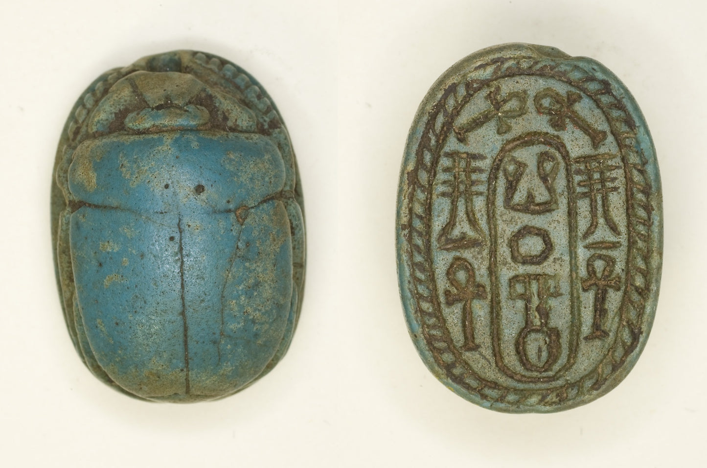 Scarab - Neferkara and Hieroglyphs (ankh and djed signs) - Egyptian, Poster Print Wall Art