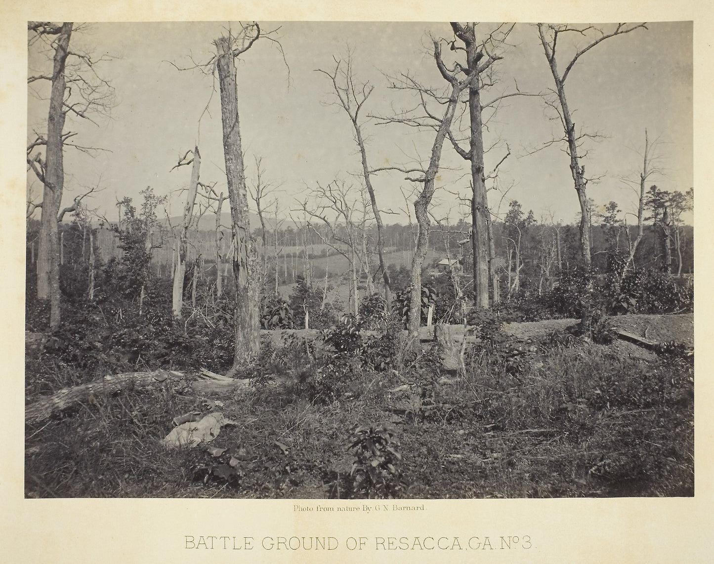 Battle Ground of Resacca, GA, No. 3 - George N. Barnard, Poster Print Wall Art