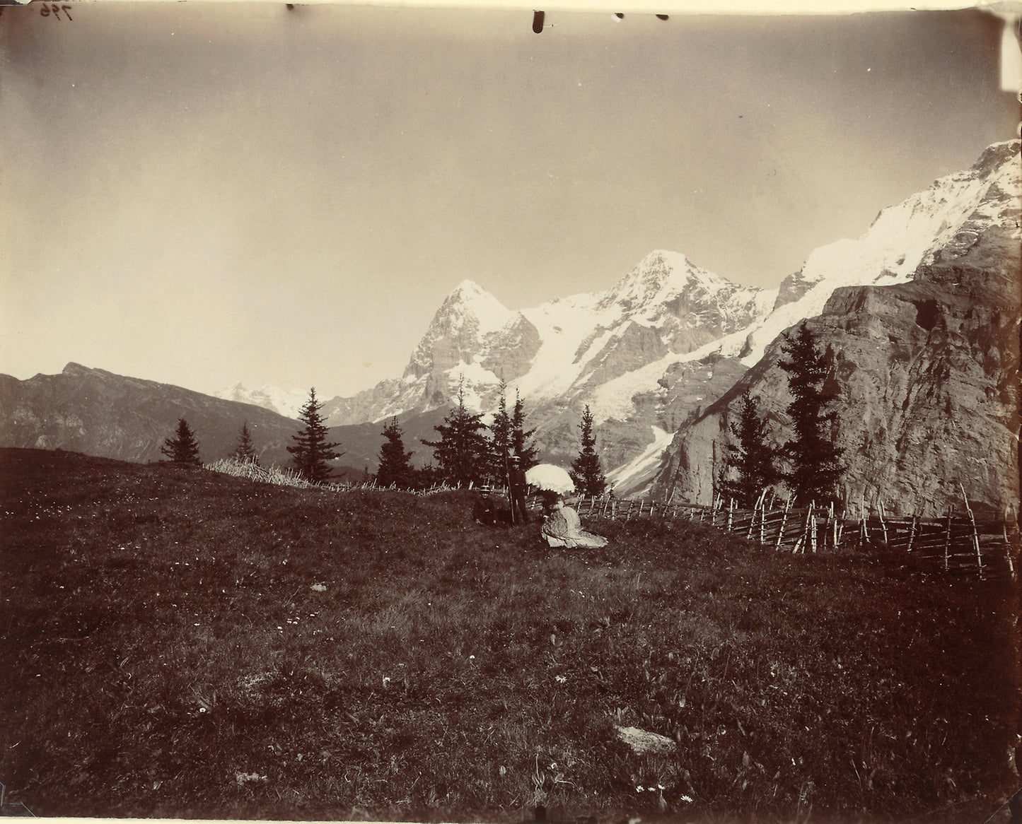 Landscape, Switzerland: Adolphe Braun, Poster Print Wall Art
