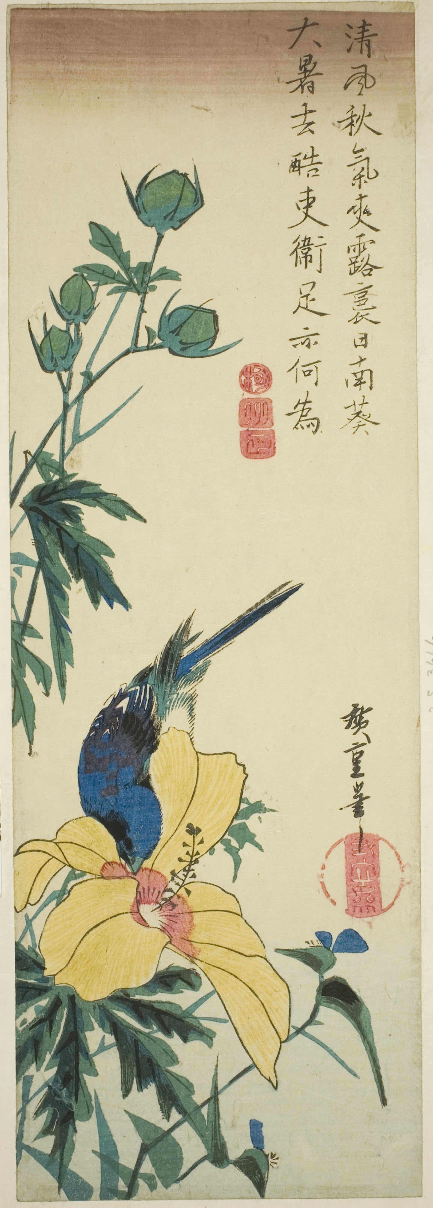 Blue bird and hibiscus - Utagawa Hiroshige ?? ??, Poster Print Wall Art