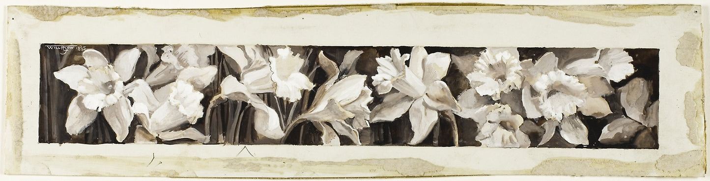 Decoration - Daffodils - Will Hicock Low, Poster Print Wall Art