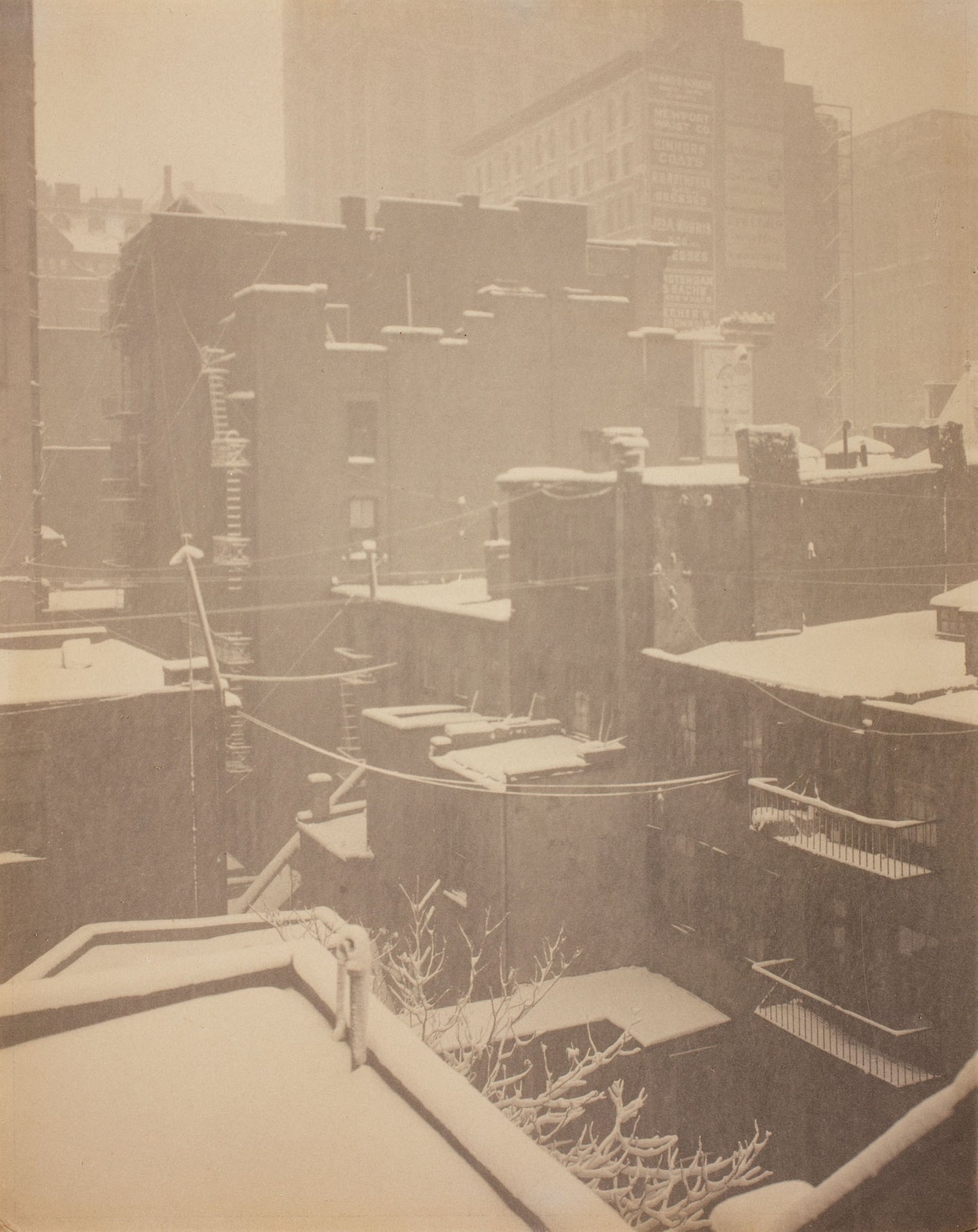 From the Back-Window "291" - Alfred Stieglitz, Poster Print Wall Art