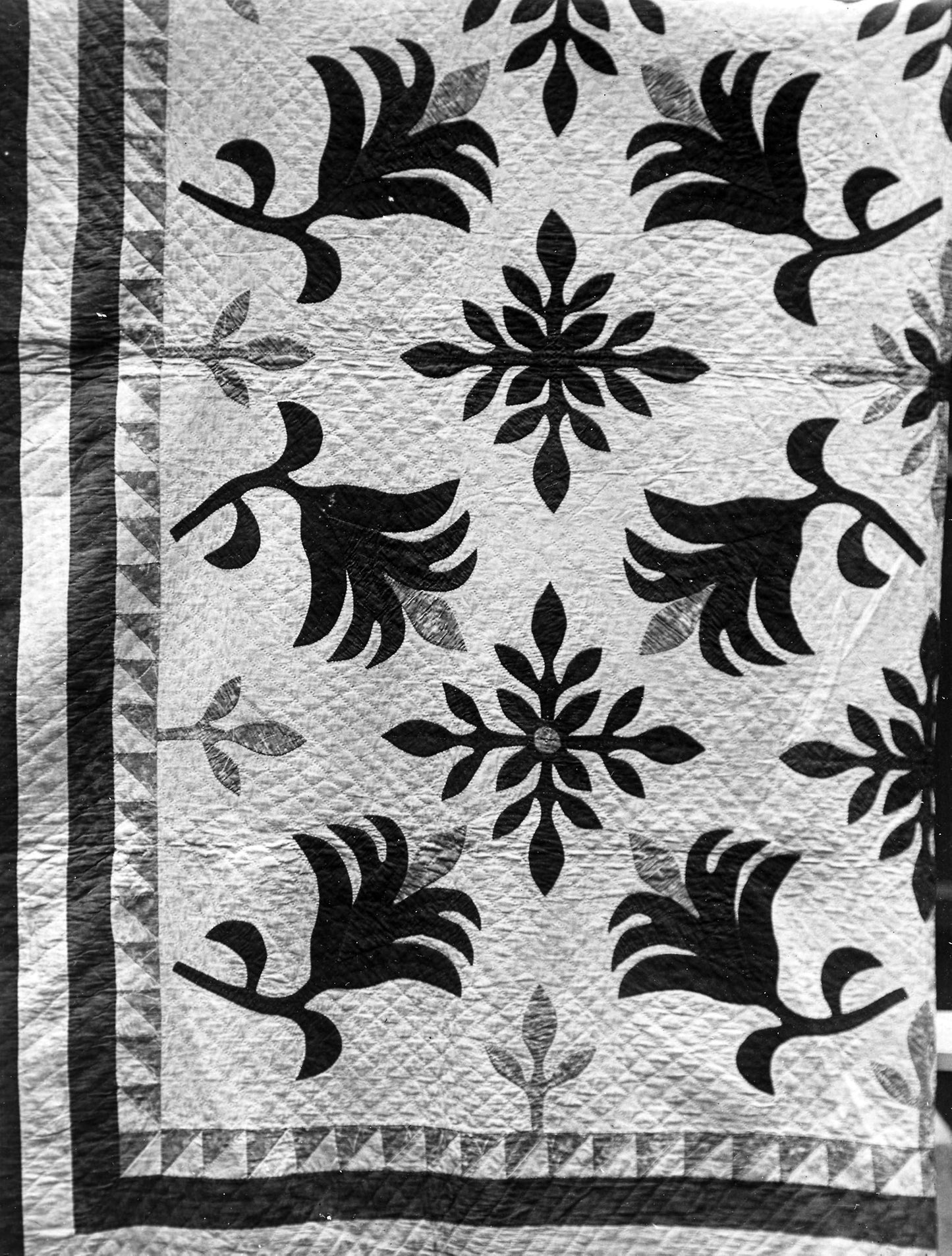 Bedcover (Poinsetta or Flower of Christmas Quilt) - United States, Poster Print Wall Art