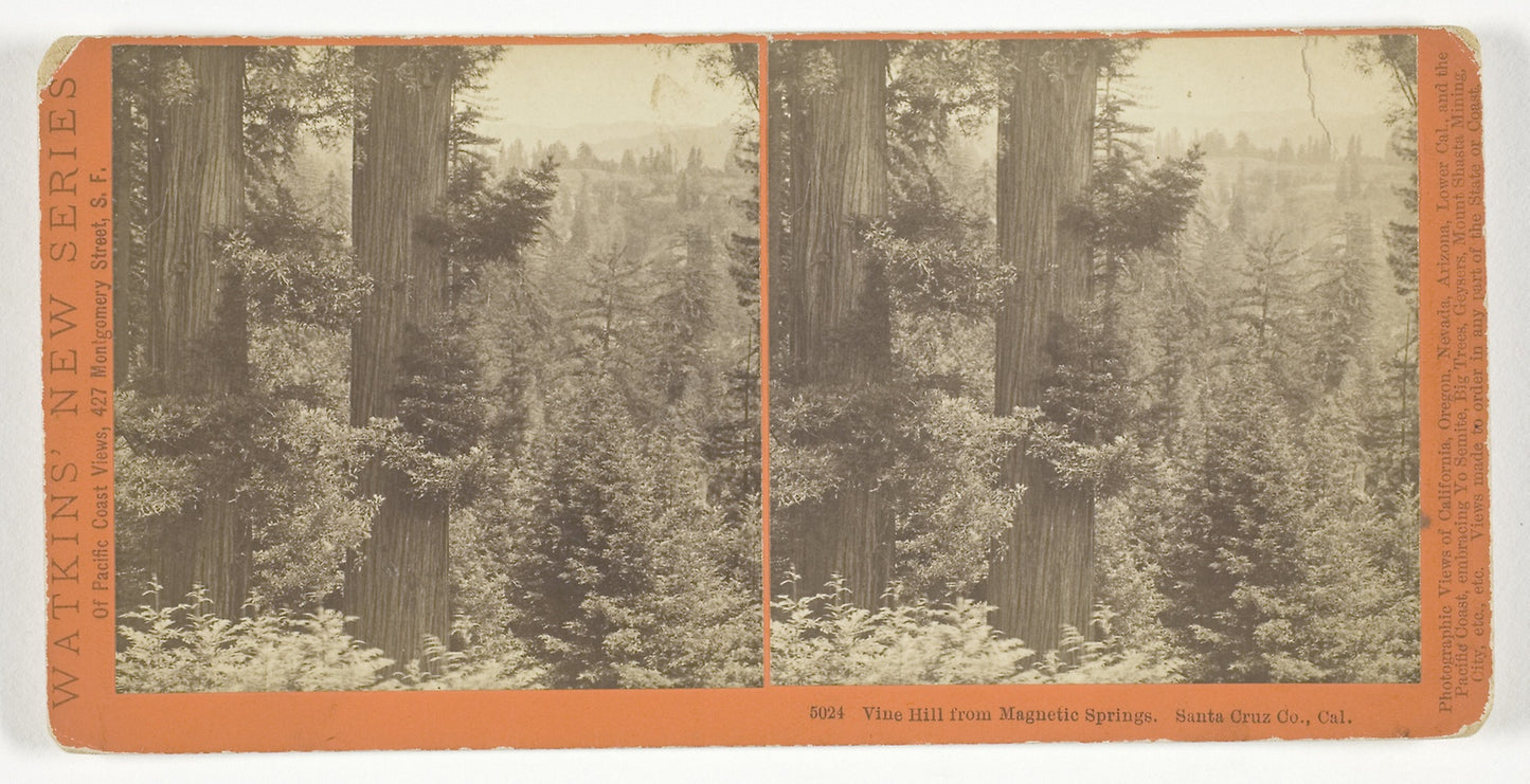 Vine Hill from Magnetic Springs. Santa Cruz Co., Cal. - Carleton Watkins, Poster Print Wall Art