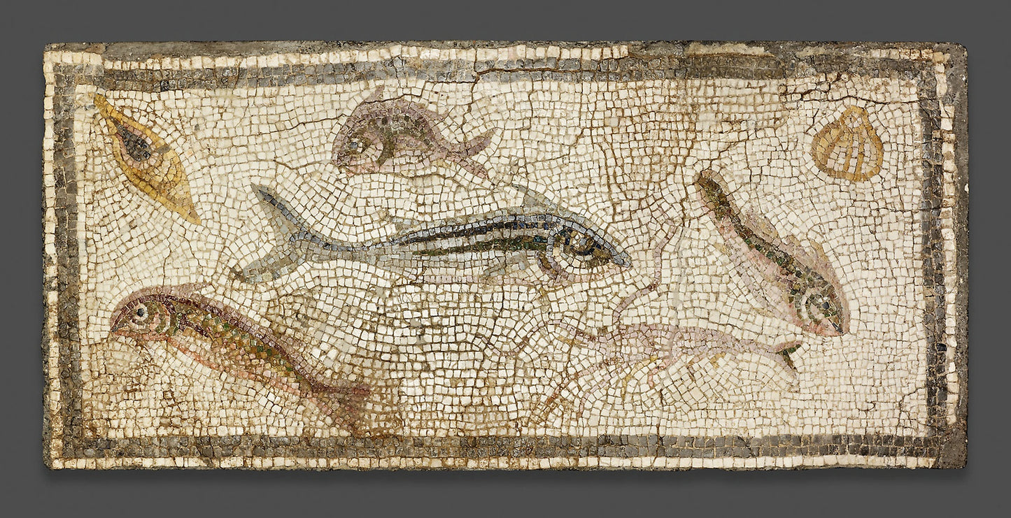 Mosaic Floor Panel Depicting Marine Life - Roman; Daphne, Turkey, the House of the Man of Letters, room 2, Poster Print Wall Art