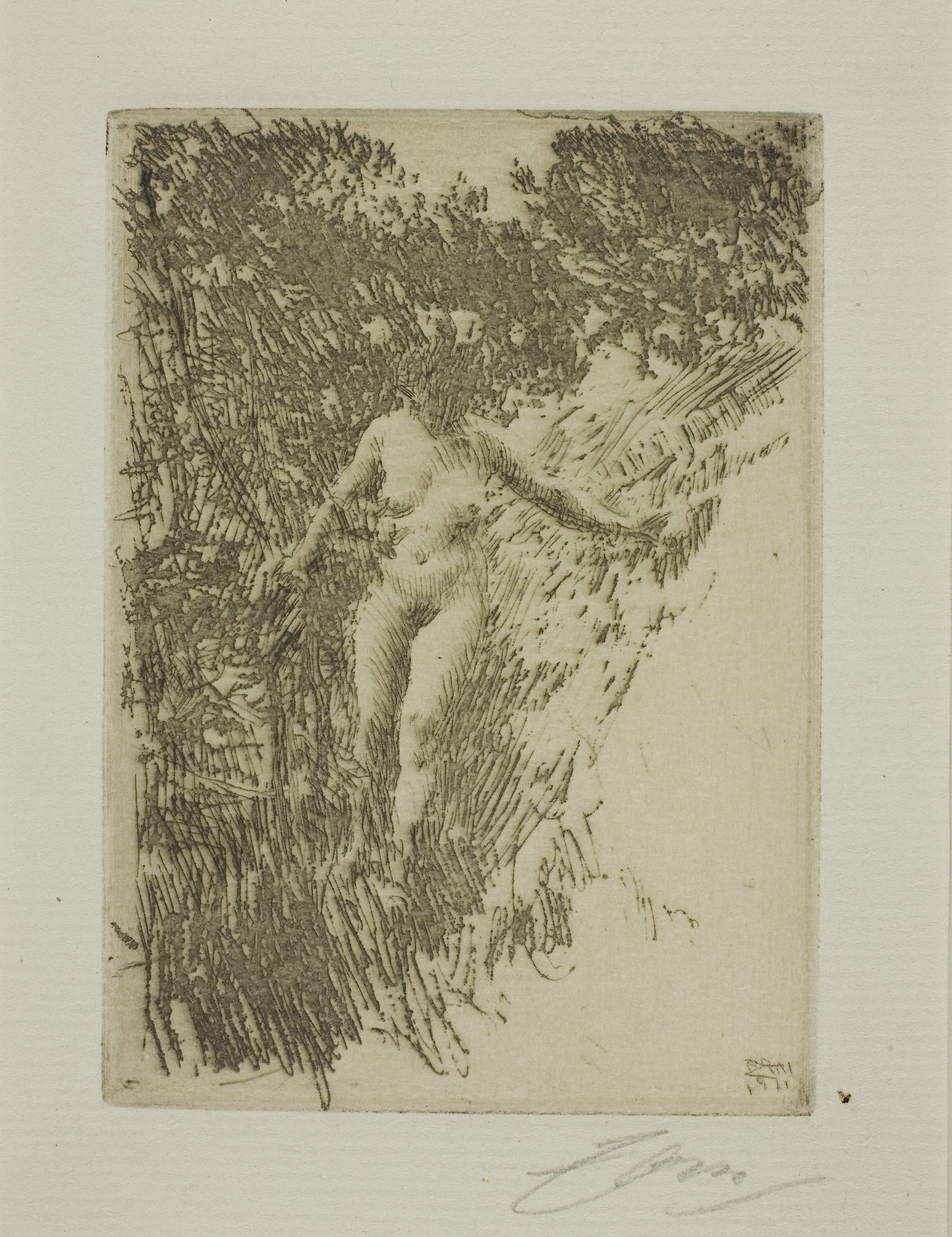Brushwood - Anders Zorn, Poster Print Wall Art