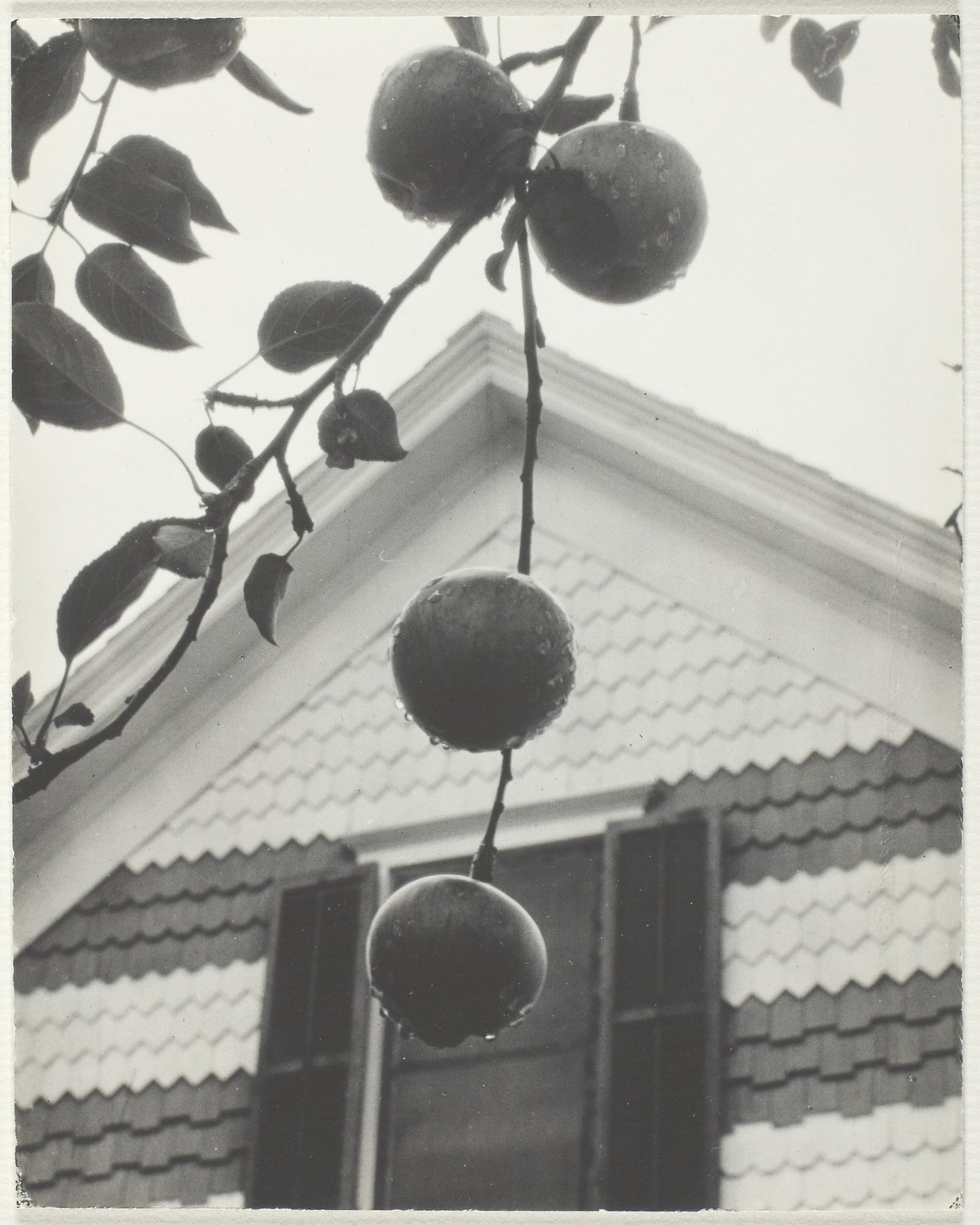 Gable and Apples - Alfred Stieglitz, Poster Print Wall Art