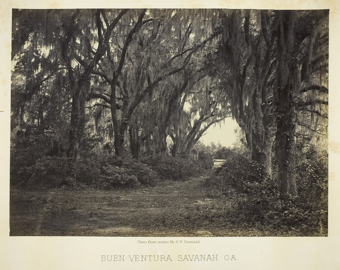 Buen-Ventura Savannah, Ga. - George N. Barnard, Poster Print Wall Art