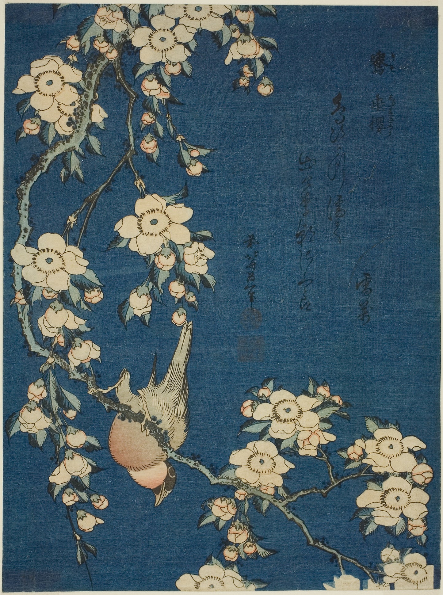 Bullfinch and Weeping Cherry (Uso, shidarezakura), from an untitled series of flowers and birds - Katsushika Hokusai ?? ?? , Poster Print Wall Art