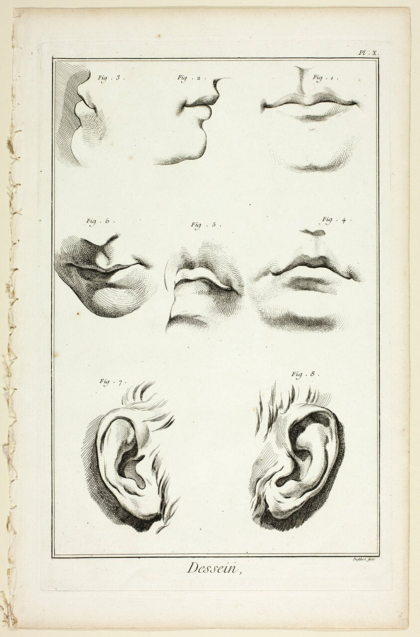 Design by Facial Anatomy from Encyclopedie by A. J. Defehrt (French, active 18th century),23x16"( A2 size ) Poster Print