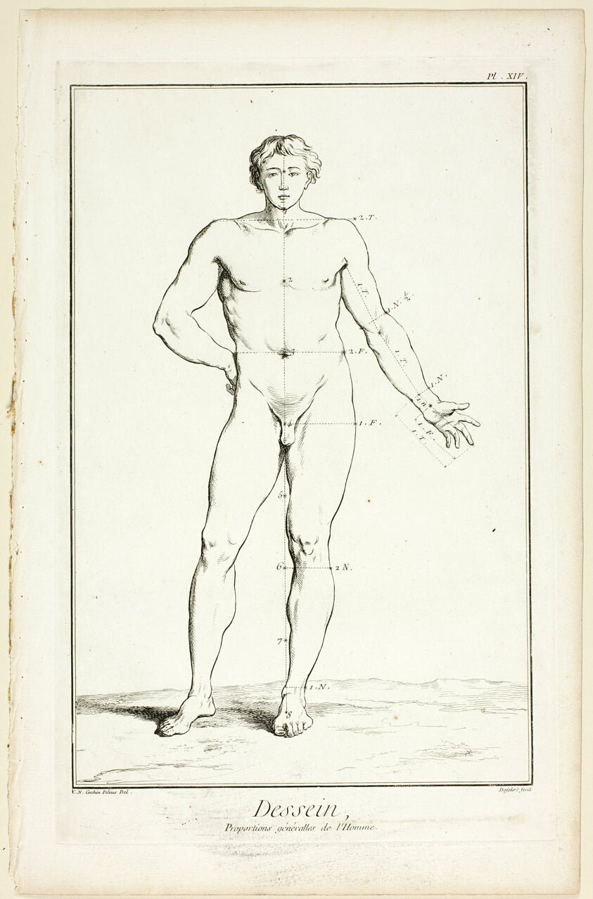 Design by General Proportions of the Male, from Encyclopedie by A. J. Defehrt (French, active 18th century),23x16"( A2 size ) Poster Print