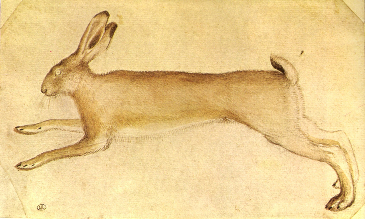 Dessin, vintage artwork by Pisanello, A3 (16x12") Poster Print