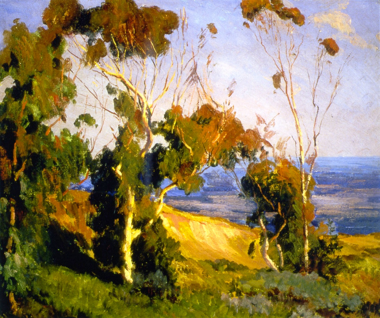 Laguna Vista by Jean Mannheim,A3(16x12")Poster