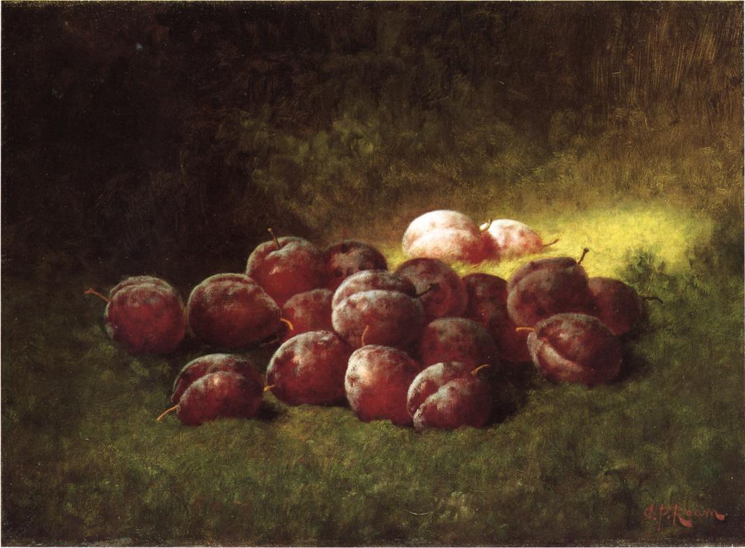 Purple Plums, vintage artwork by Carducius Plantagenet Ream, 12x8" (A4) Poster