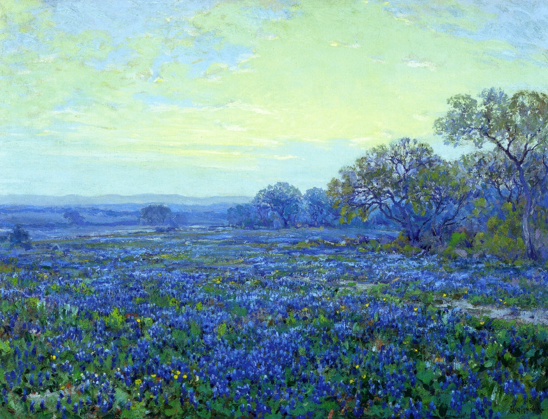 Field of Bluebonnets under Cloudy Sky by Julian Onderdonk,16x12(A3) Poster