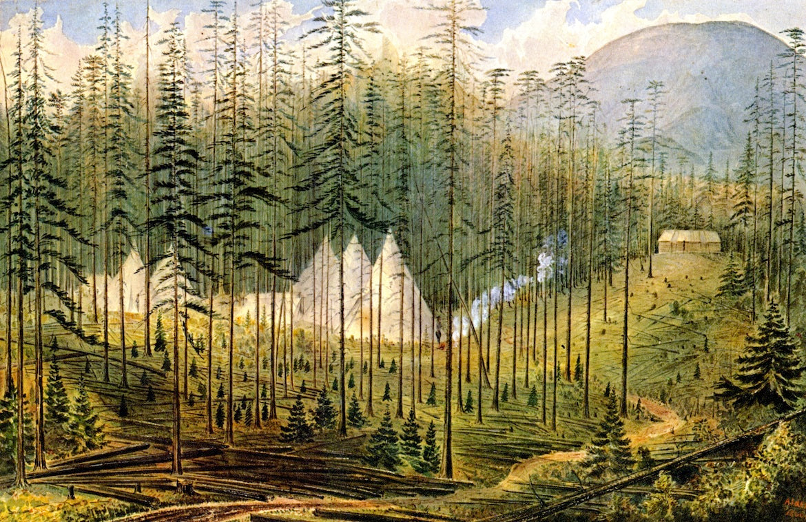 Camp Mooyie, 49th Parallel, vintage artwork by James Madison Alden, 12x8" (A4) Poster