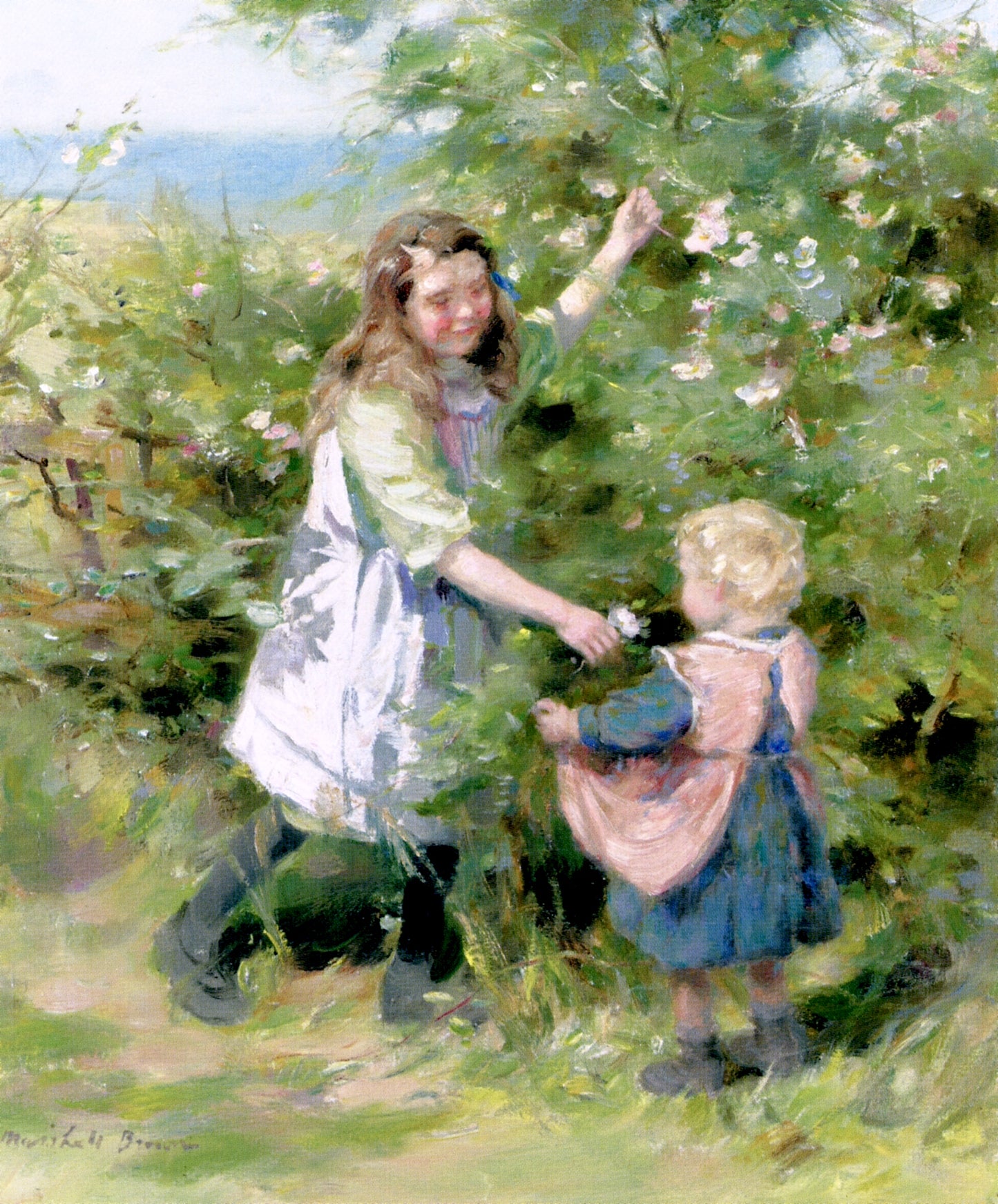 Wayside Roses, vintage artwork by William Marshall Brown, R.S.A. R.S.W., 12x8" (A4) Poster
