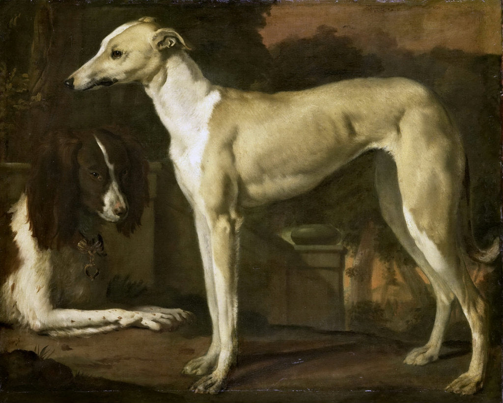A Greyhound and a Spaniel, vintage artwork by Jan Weenix, 12x8" (A4) Poster