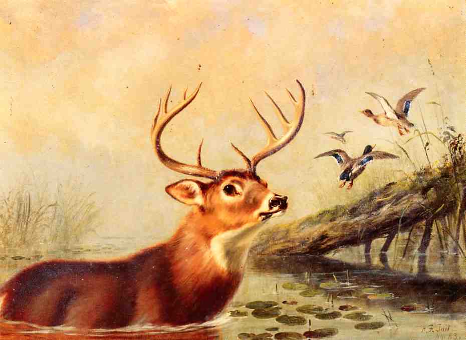 Buck in a Marsh, vintage artwork by Arthur Fitzwilliam Tait, A3 (16x12") Poster Print