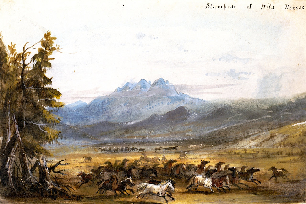 Stampede of Wild Horses, vintage artwork by Alfred Jacob Miller, A3 (16x12") Poster Print