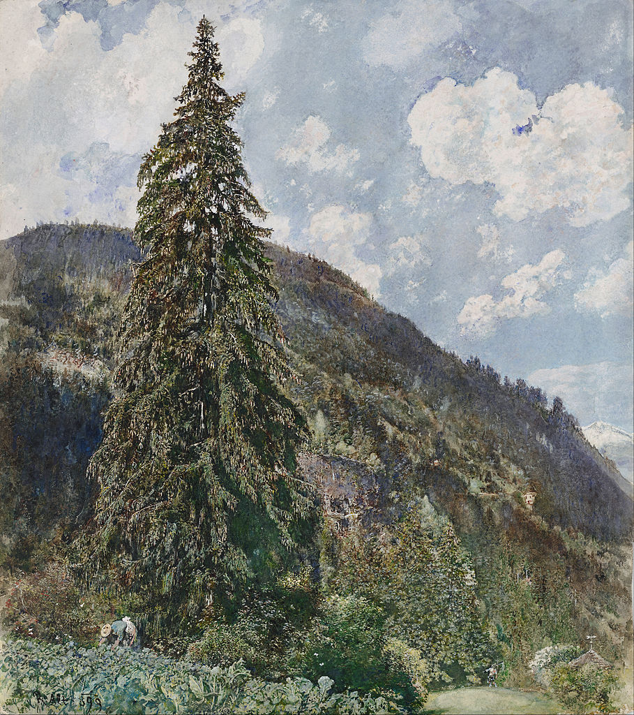 The Old Spruce in Gastein, vintage artwork by Rudolf von Alt, A3 (16x12") Poster Print
