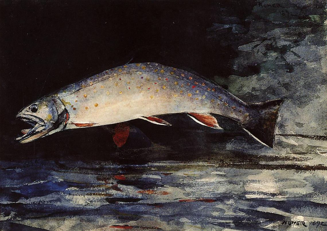 A Brook Trout, vintage artwork by Winslow Homer, 12x8" (A4) Poster