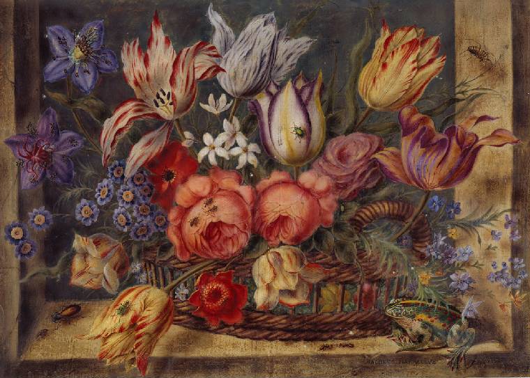 Flower study: various flowers in a basket, with frog and insects and in a window setting, vintage artwork by Jacob Marrel, 12x8" (A4) Poster