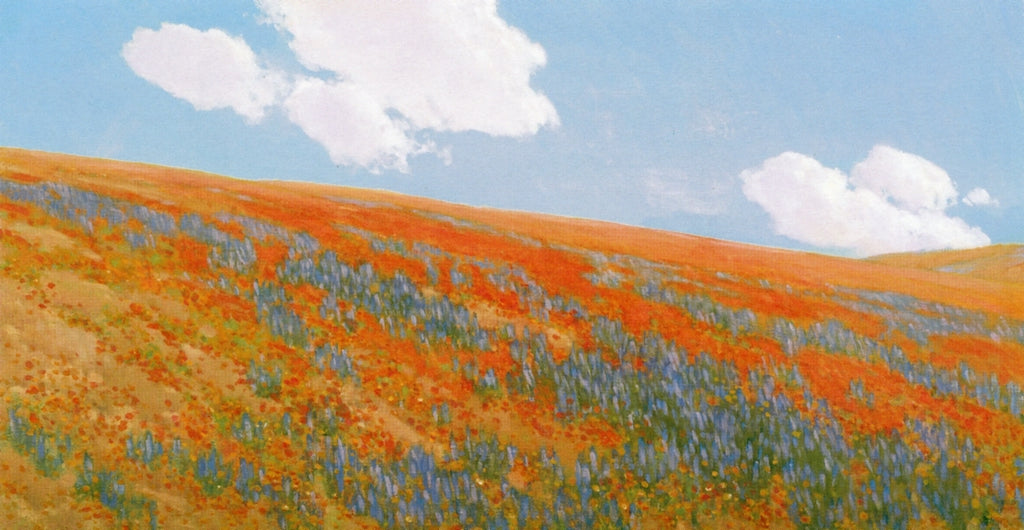 Poppies and Lipin by Fernand H. Lungren,A3(16x12")Poster