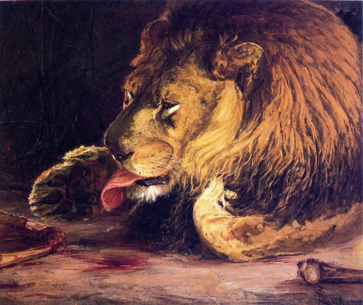 Lion Licking Its Paw, vintage artwork by Henry Ossawa Tanner, 12x8" (A4) Poster