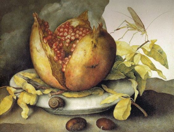 Pomegranate, vintage artwork by Giovanna Garzoni, 12x8" (A4) Poster