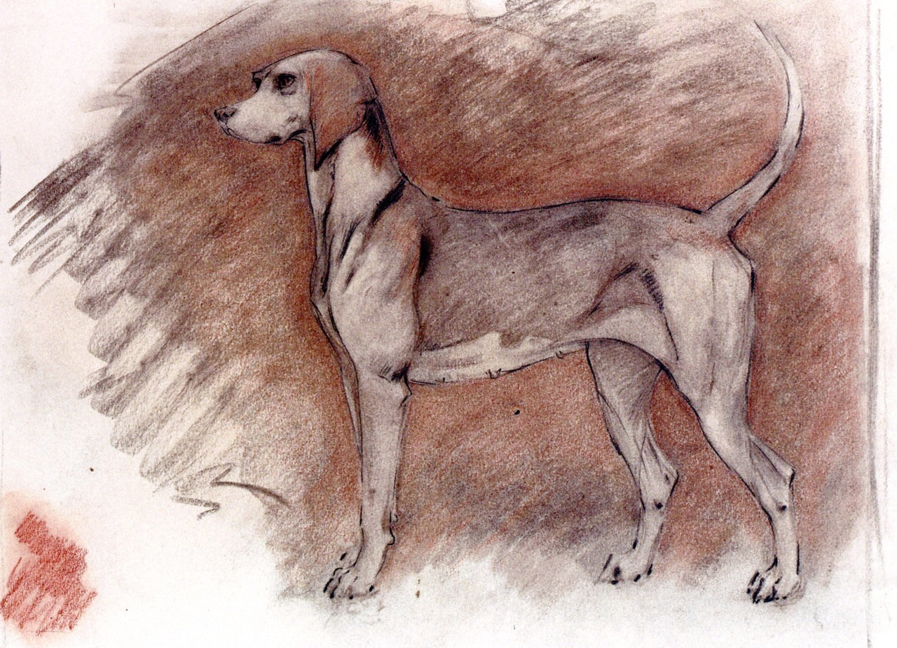 Hound at Attention, vintage artwork by Robert Bevan, 12x8" (A4) Poster