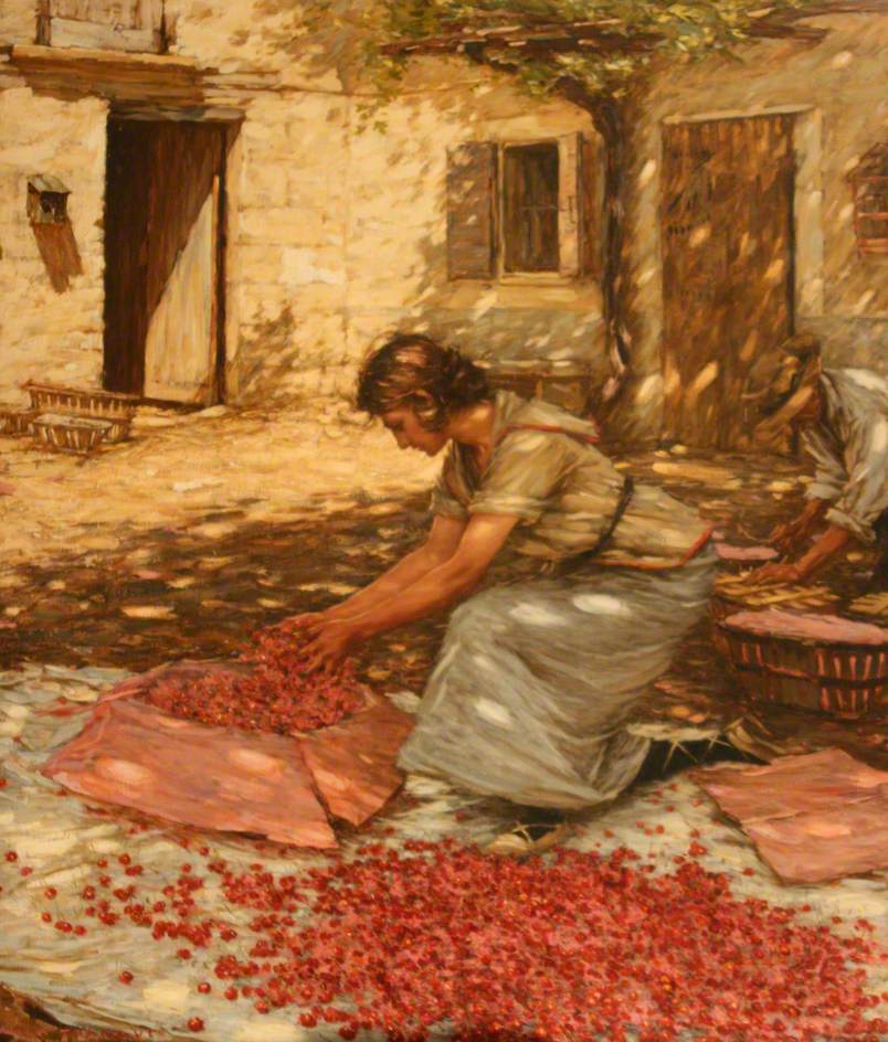 Packing Cherries in Provence, France, vintage artwork by Henry Herbert la Thangue, 12x8" (A4) Poster