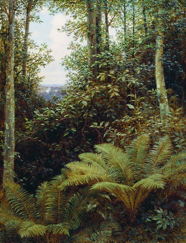 Ferns by Gavriil Kondratenko,A3(16x12")Poster