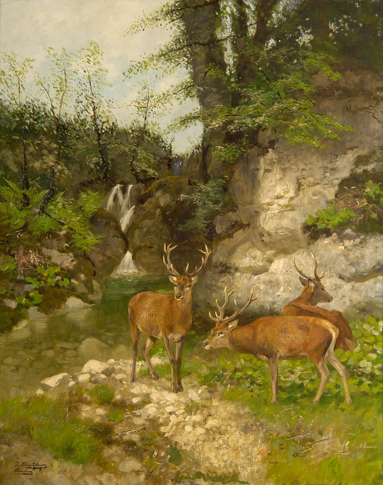 Deer at the forest brook by Josef Schmitzberger,A3(16x12")Poster