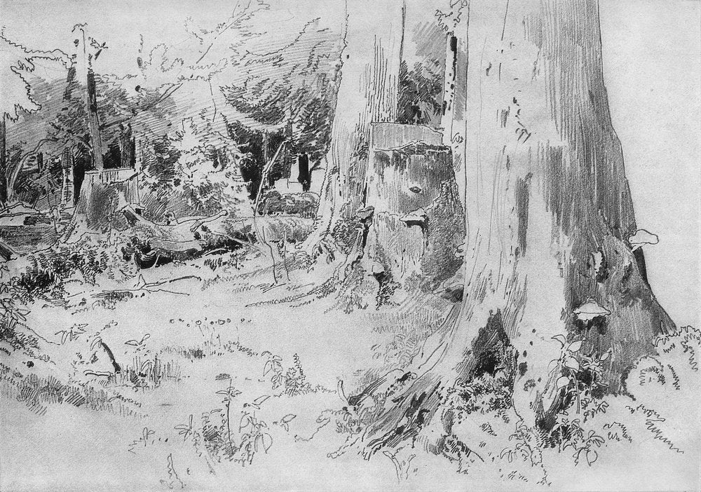 Fallen Trees, vintage artwork by Ivan Ivanovich Shishkin, 12x8" (A4) Poster