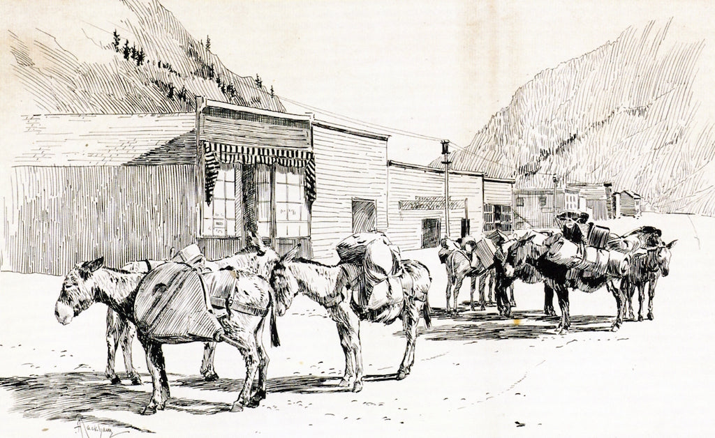 Burros outside a Building, vintage artwork by Arthur Rackham, 12x8" (A4) Poster