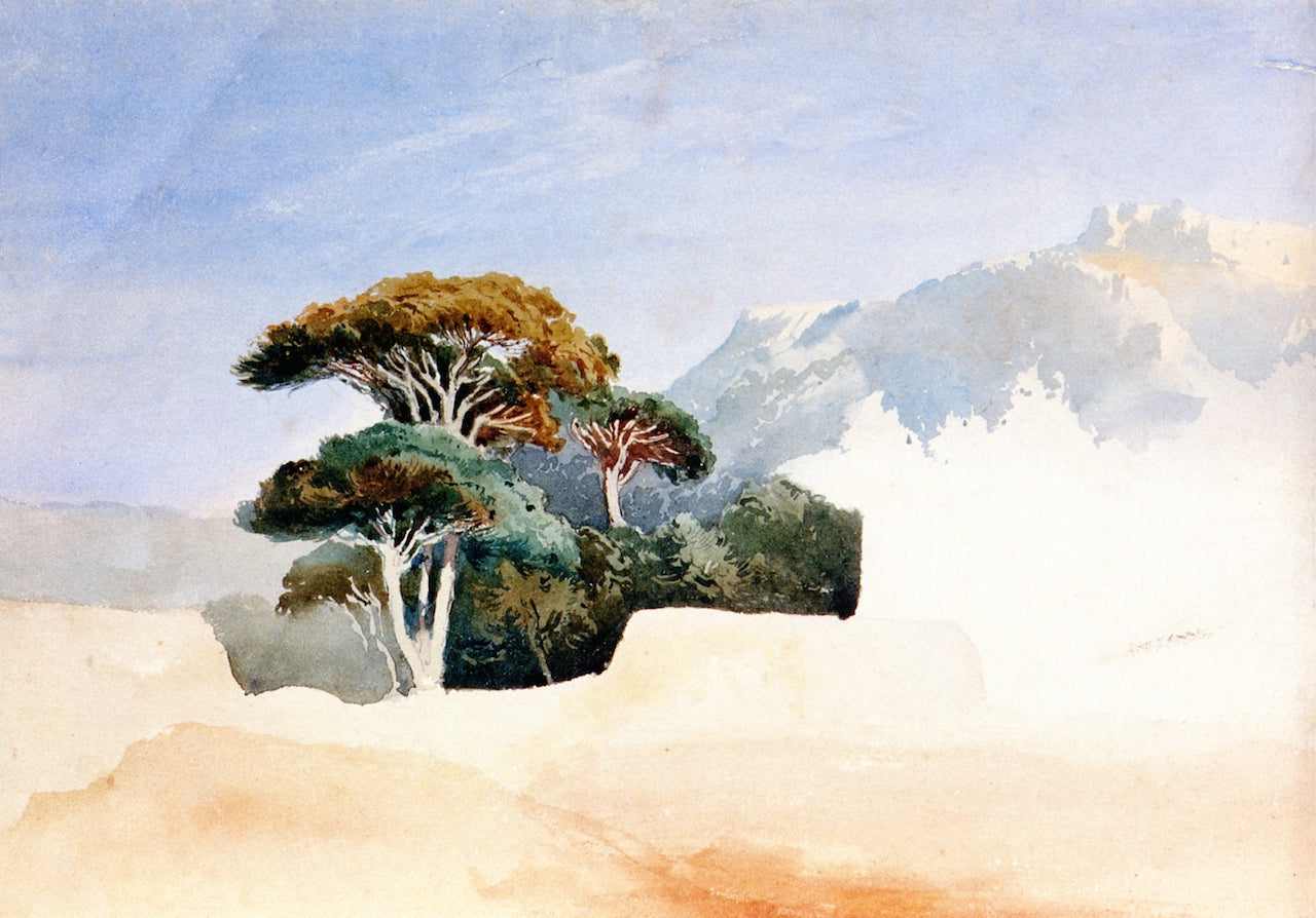 Midi, etude de pins dans un paysage, vintage artwork by Felix-Francois-Georges-Philbert Ziem, 12x8" (A4) Poster