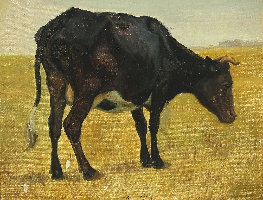 Grazing cow in the meadows by Viggo Pedersen,A3(16x12")Poster