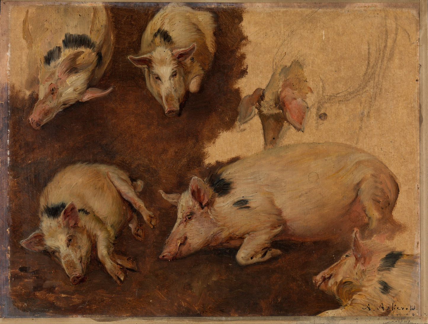 Study of Six Pigs, vintage artwork by Anders Monsen Askevold, 12x8" (A4) Poster
