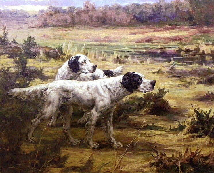 Setters on Point by Percival Leonard Rosseau,A3(16x12")Poster