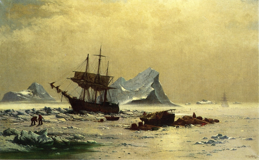 Among the Ice Floes, vintage artwork by William Bradford, 12x8" (A4) Poster